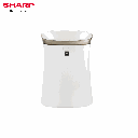 Extra Image 6